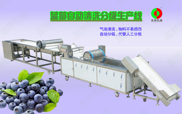 吉首蓝莓/蔬果全自动清洗分级生产线